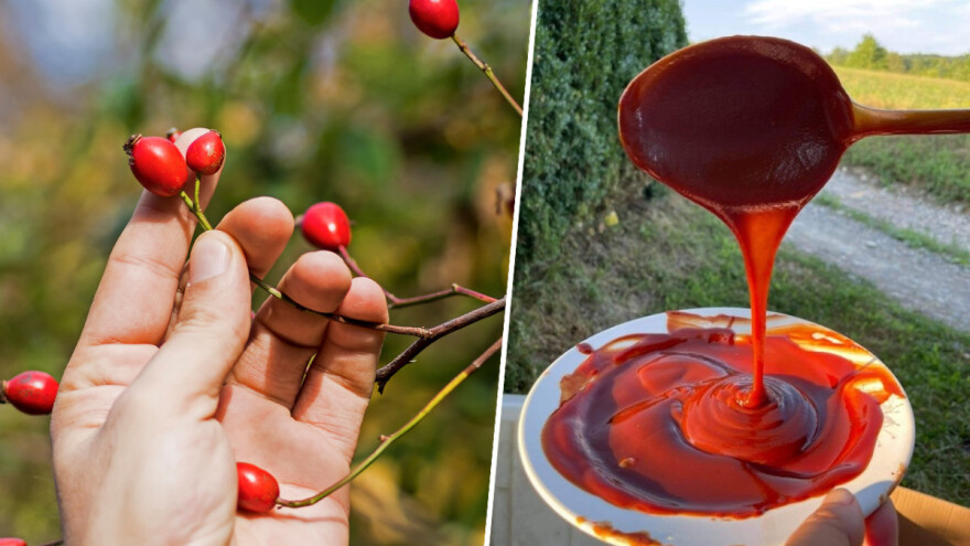 Selom se širi miris pekmeza od šipka: Kad "pukne film" ostvaruju se snovi