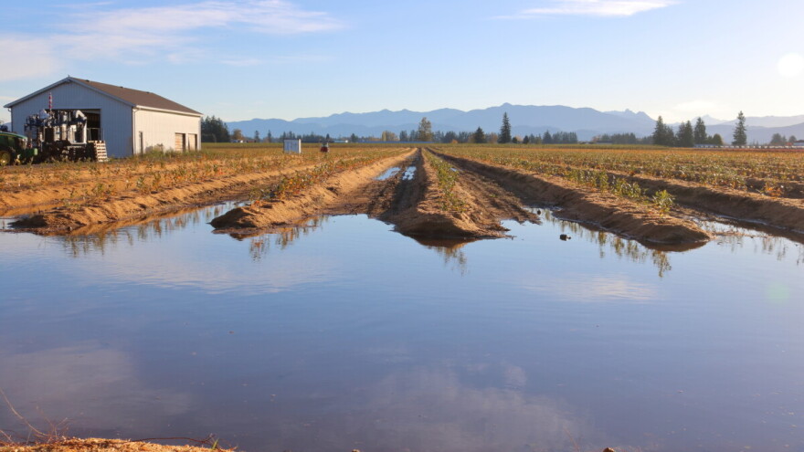 Nakon povlačenja vode odmah obaviti "pranje" i totalnu dezinfekciju štale