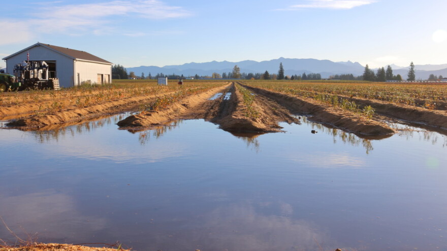 Nakon povlačenja vode odmah izvršiti "pranje" i totalnu dezinfekciju štale