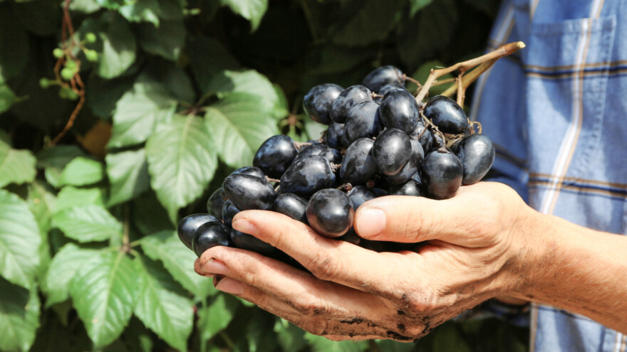 HZZ proširio ciljane skupine poslodavaca za potporu za očuvanje radnih mjesta