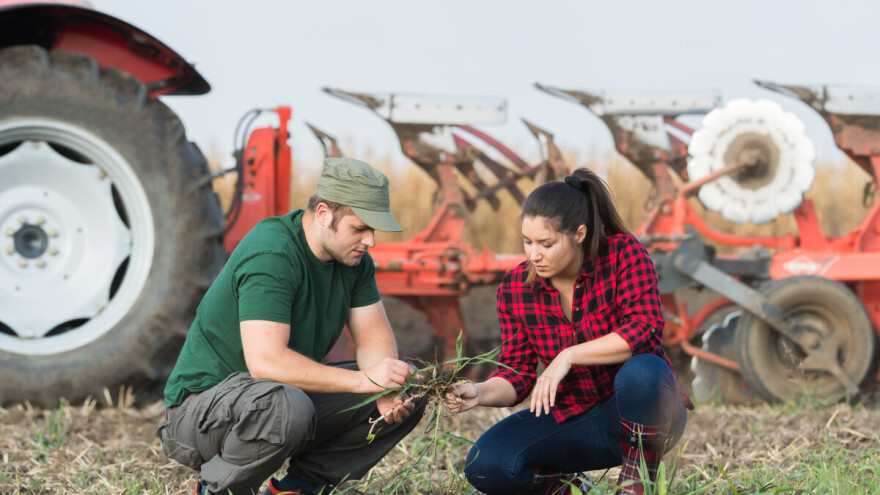 Evo prilike da zaposlite mlade u sektoru poljoprivrede