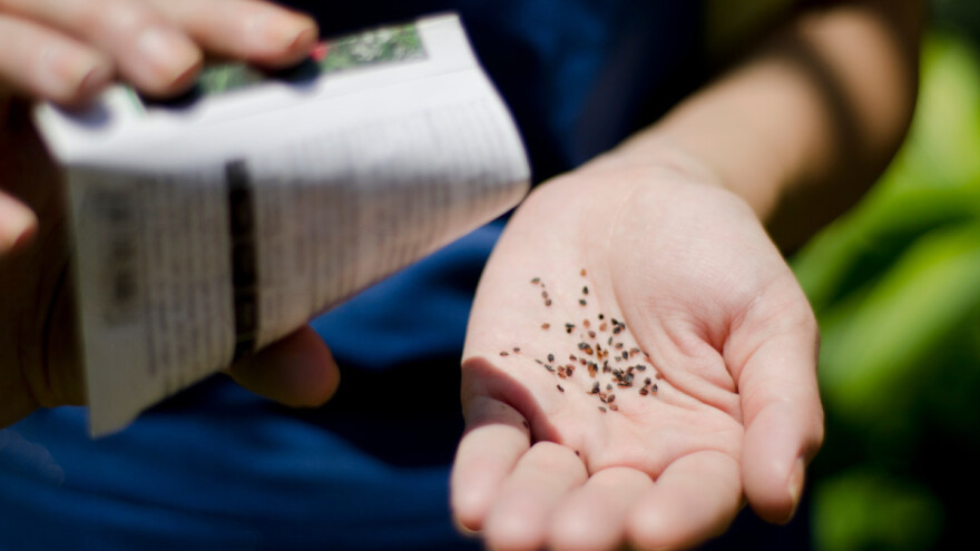 Amazon zabranjuje inostranu prodaju sjemena zbog sumnjivih paketa iz Kine