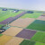 Otkupljuju farme: Vlada Nizozemske želi smanjiti zagađenje dušikom
