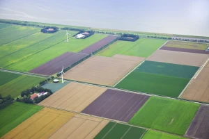 Otkupljuju farme: Vlada Holandije želi da smanji zagađenje azotom