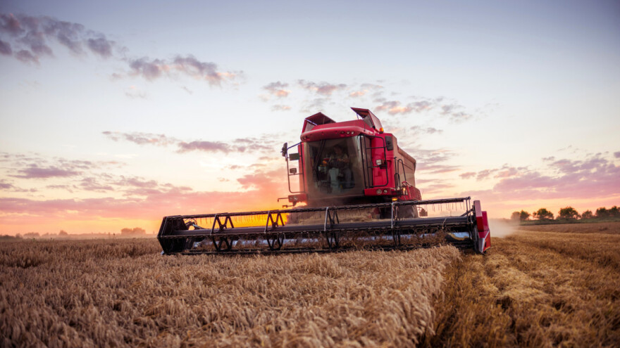 Toplije vrijeme pogoduje pšenici - hoće li kasniti žetva u Europi?