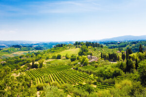 U Italiji više od 800 napuštenih farmi namijenjeno mladim farmerima