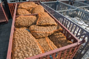 Trule krtole pokušali uvesti u BiH - zabranjen uvoz 43,3 tone krompira