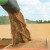 Najviše se trgovalo pšenicom, uljana repica - 46 din/kg sa PDV-om