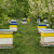 Šta se radi u pčelinjaku tokom maja?