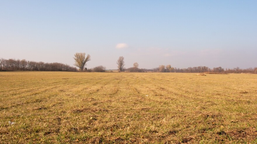 Do kraja nedelje natprosečno toplo: Uočena pepelnica na ječmu i pšenici