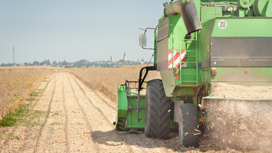 Počelo trgovanje sojom novog roda: Cena 35,40 dinara po kilogramu