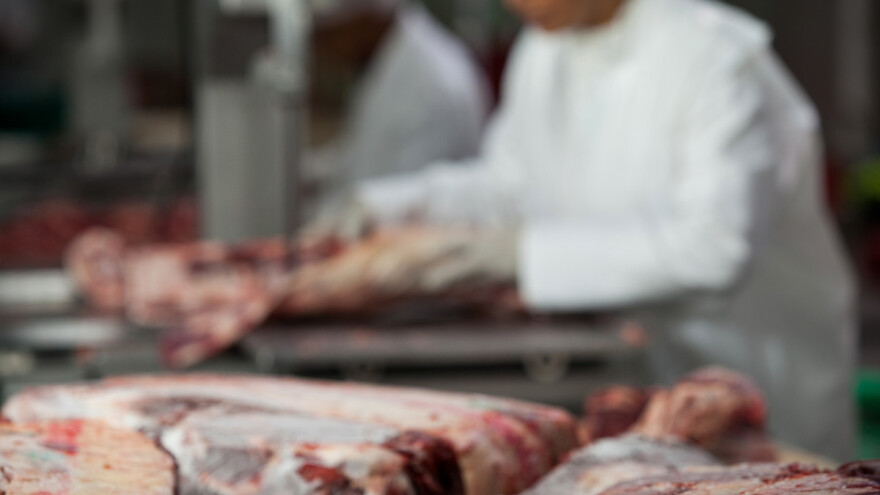 Kafilerija za animalni otpad gradit će se u Doboju?