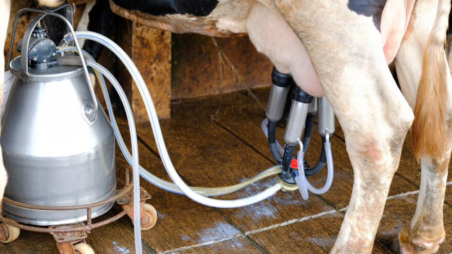 Otkupna cijena mlijeka treba ići prema 3,5 kune - moramo biti na razini zemalja EU