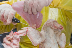 Poskupljenja: U FBiH najviše porasle cijene piletine i ulja!