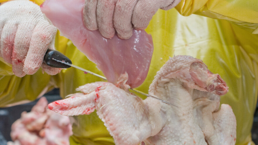 Poskupljenja: U FBiH najviše porasle cijene piletine i ulja!