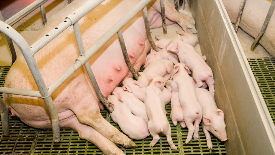 Sudjelujte u javnom savjetovanju o državnim potporama za iznimno osjetljive sektore