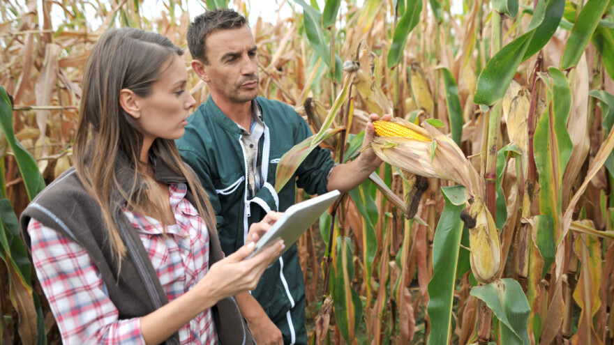 Tko su ovlašteni agronomi i zašto su nam potrebni?