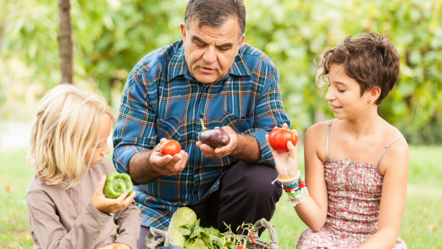 Leto na selu: Prilika za nezaboravno iskustvo