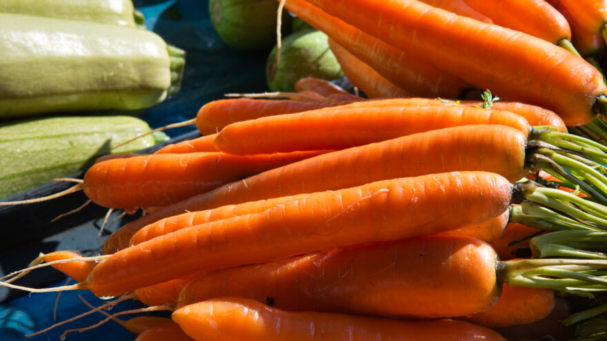 Jednostavna i brza salata od tikvice i šargarepe za zimu