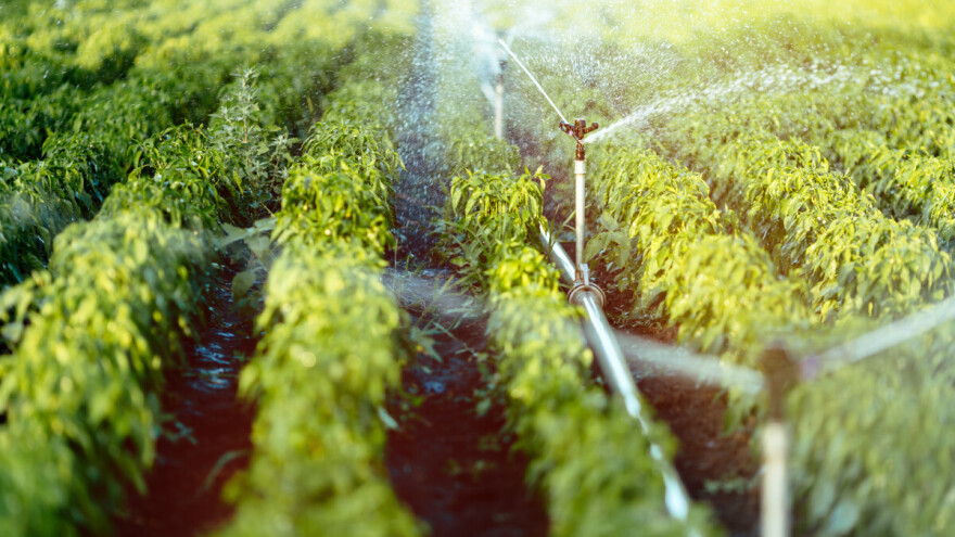 Pokrajinski krediti: Uložite u zemlju, setvu, navodnjavanje, protivgradnu mrežu i plastenike