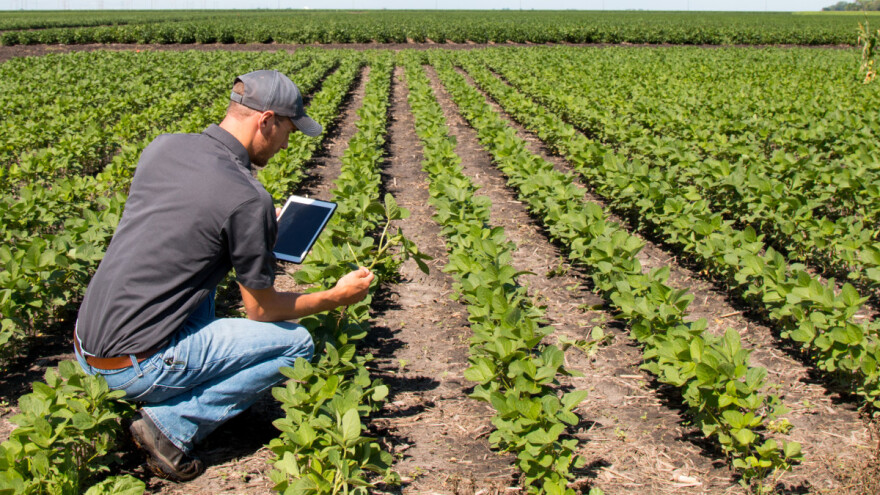 Za mlade i poduzetne: 50.000 eura startupima u području poljoprivrede