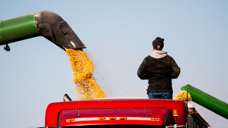 EU uvezla gotovo milion tona manje soje