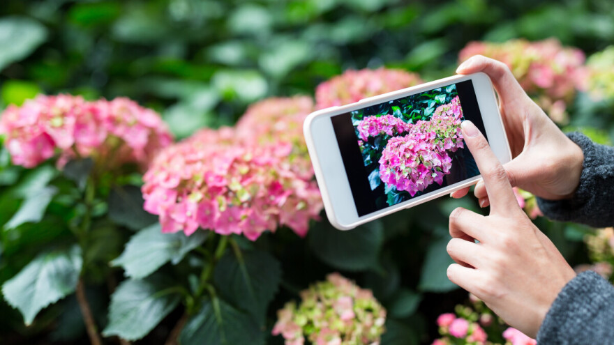 Okućnicu fotkaj i na KLUB postaj! Autora najbolje fotke opremamo od glave do pete!