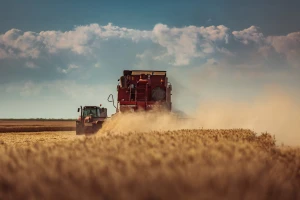 Oboren svetski rekord u prinosu pšenice sa neverovatnih 17,398 t/ha