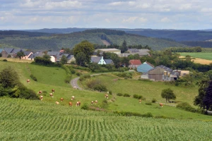 EU do 2035.: Past će proizvodnja mesa i šećera? A žitarice i mlijeko?