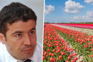 Uhićen bivši ministar gospodarstva, dobio subvencije za tulipane koje nikada nije posadio?