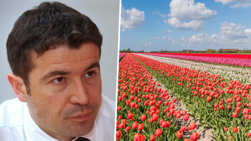Uhićen bivši ministar gospodarstva, dobio subvencije za tulipane koje nikada nije posadio?