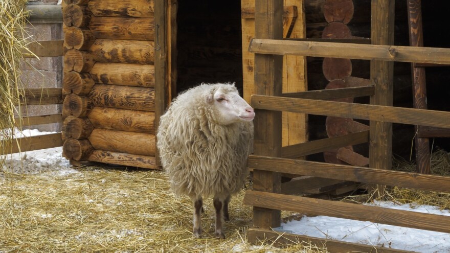 Prvo džemre "udara" u nedjelju: Žito sijati kad bukva lista