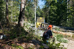 Dogorjelo i šumarima - održan štrajk upozorenja