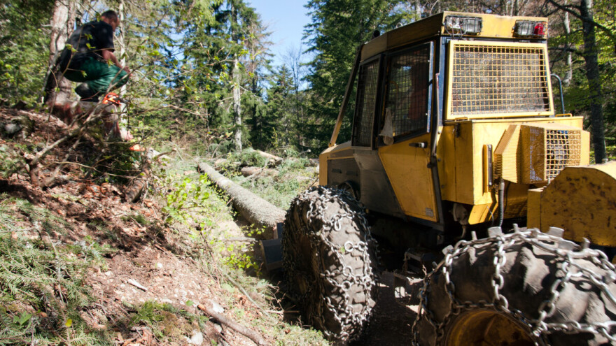 U nesreći kod Ključa poginuo sjekač trupaca Mirza Zukan