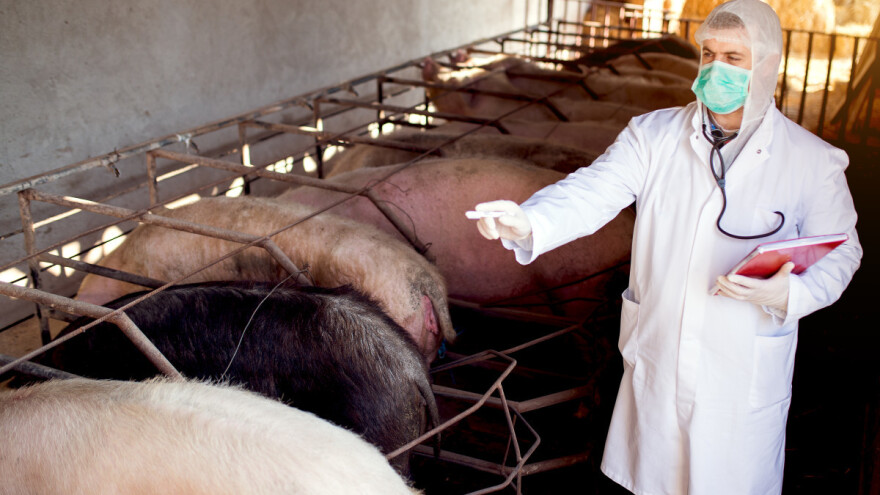 Nove vrste ASK-a manje smrtonosne, ali ih je teže kontrolisati?