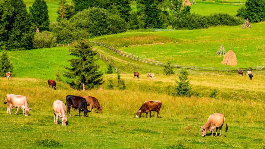 Predstavljena strategija gospodarskog oporavka EU: 15 milijardi eura za poljoprivredu
