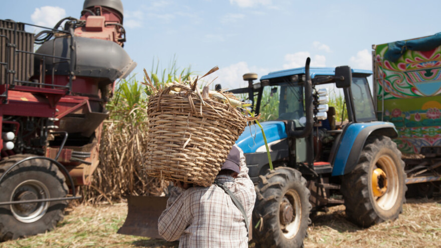 Brazil lani nahranio čak 10 posto svjetske populacije