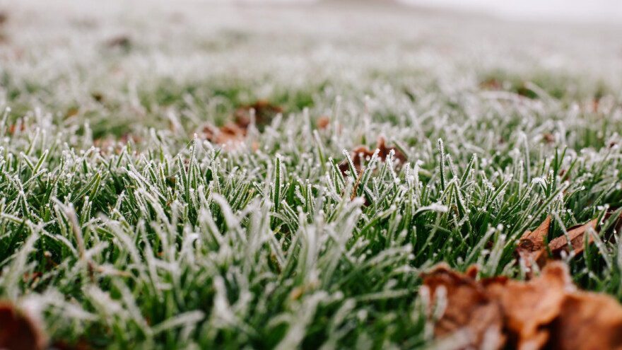 Njega travnjaka zimi: Šta kada je prevelika vlaga?