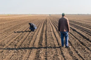 Agroprijedor traži 80 poljoprivrednika za uzgoj non GMO soje