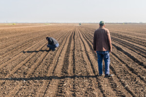 Agroprijedor traži 80 poljoprivrednika za uzgoj non GMO soje