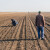 Agroprijedor traži 80 poljoprivrednika za uzgoj non GMO soje