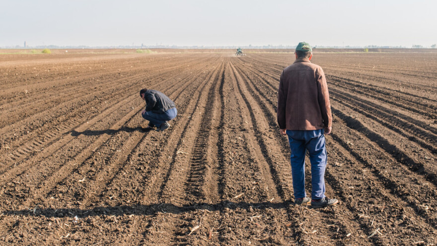 Agroprijedor traži 80 poljoprivrednika za uzgoj non GMO soje