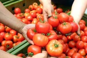 Novčane podrške: Doneseni pravilnici za ostale podrške i ruralni razvoj za 2019. godinu