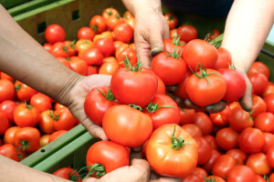 Za nove agro biznise u BiH - 1,3 miliona KM podrške