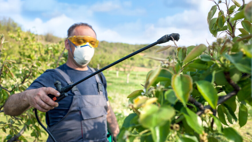 Nanopesticidi bolji od konvencionalnih - smanjuju količinu korišćenja hemijske materije?