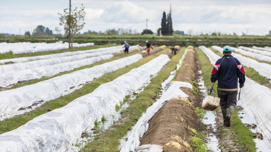Rad u sezoni: Planirate u Njemačku?
