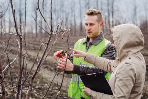 Objavljen poziv za sufinansiranje zapošljavanja mladih agronoma