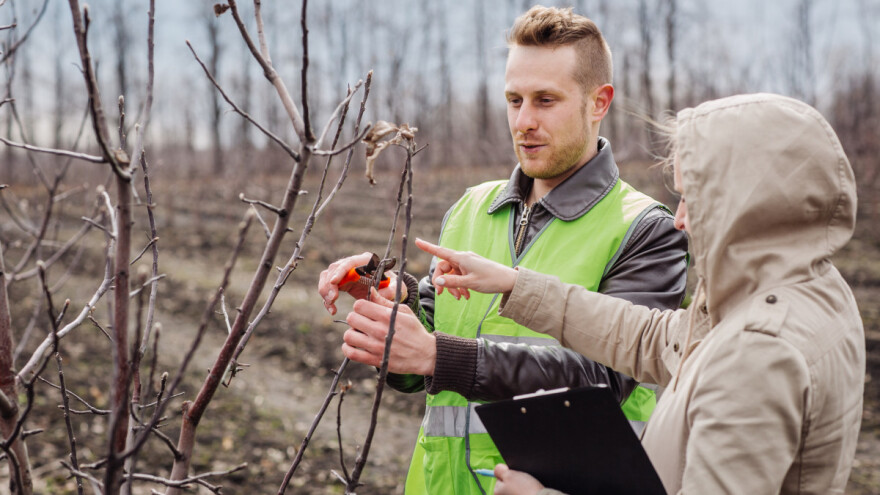 Objavljen poziv za sufinansiranje zapošljavanja mladih agronoma