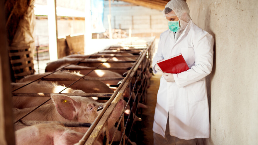 Proizvođačkim organizacijama isplaćen drugi obrok potpore