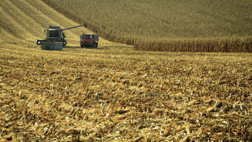 Rastu cijene krumpira, jaja i svinja, a padaju za žitarice i gnojiva